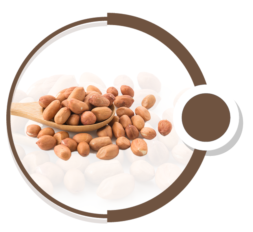 groundnuts
